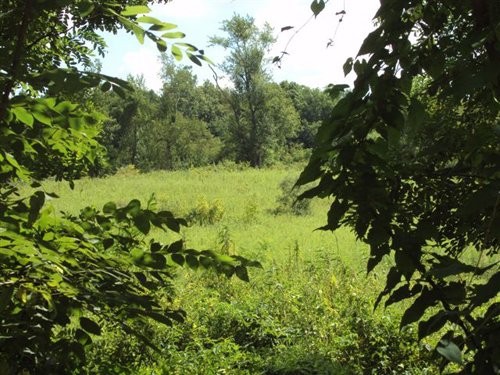 Property photo 2 - AUCTION CANCELLED TONIGHT!! SOLD Prior to Auction! 84+/- Acres Offered in 4 Tracts